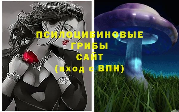 прущие крисы Армянск