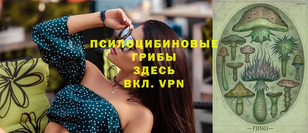экстази Арсеньев