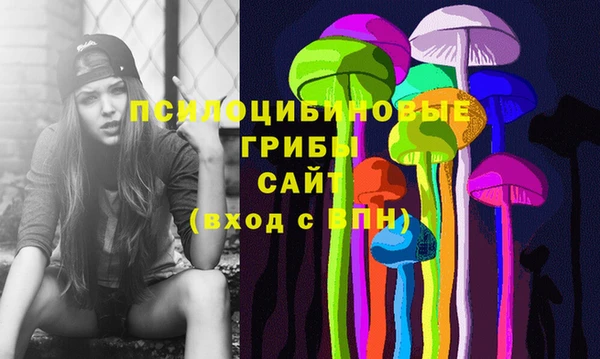 прущие крисы Армянск