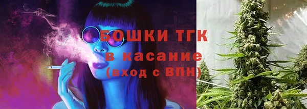 молекула духа Аркадак
