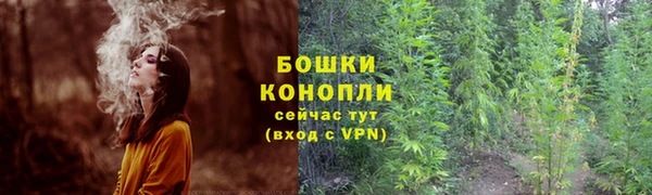молекула духа Аркадак