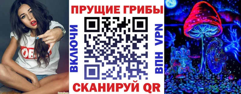 Псилоцибиновые грибы Cubensis кракен маркетплейс Мариинск